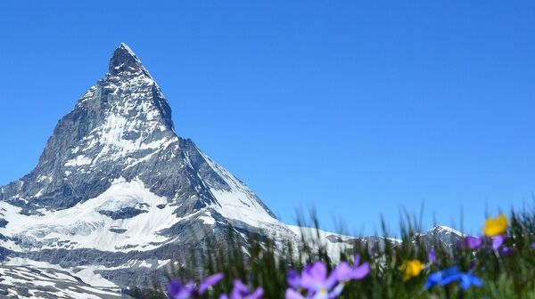Spektakulärer Blick auf das Matterhorn in der Schweiz, mit gelben und violetten Wildblumen im Vordergrund