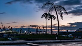 Künstliche Palmen in einem Park vor dem Hamburger Hafen
