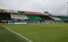 SV Ried