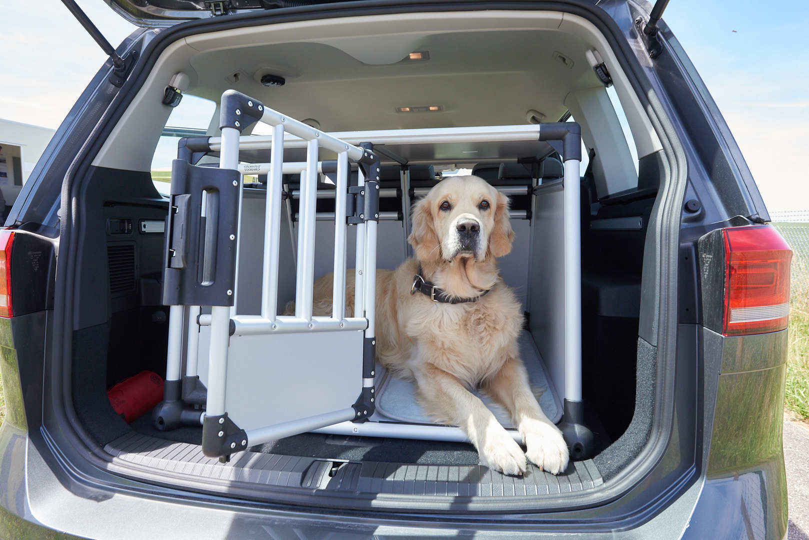Das Foto zeigt einen offenen Kofferraum in dem eine Transportbox ist, in der ein Golden Retriever sitzt. 