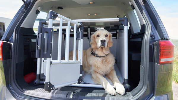 Das Foto zeigt einen offenen Kofferraum in dem eine Transportbox ist, in der ein Golden Retriever sitzt.