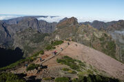 Blick auf den Vereda do Areeiro auf Madeira. 