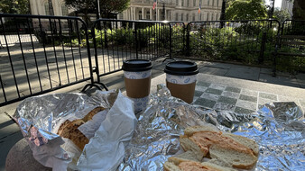 Bagels im City Hall Park.