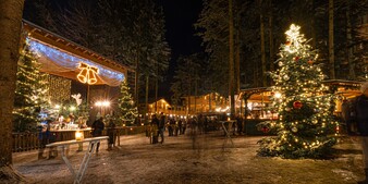 Waldweihnacht am Baumkronenweg.in Kofpfing
