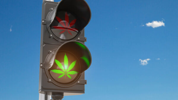 Grünes leuchtendes Symbol eines Cannabisblattes auf einer Ampel.