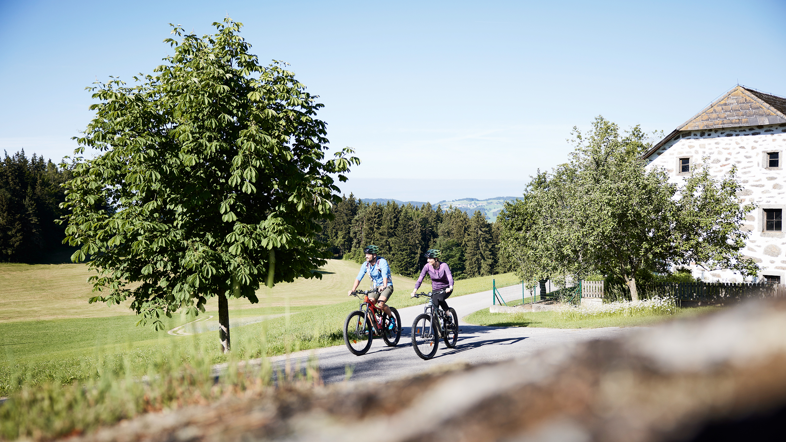 Zwei Radfahrer sind bei schönem Wetter auf dem Mühlviertelradweg in einer hügeligen grünen Landschaft unterwegs.