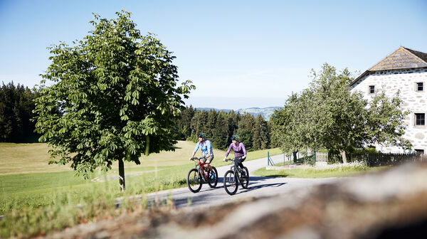 Zwei Radfahrer sind bei schönem Wetter auf dem Mühlviertelradweg in einer hügeligen grünen Landschaft unterwegs.