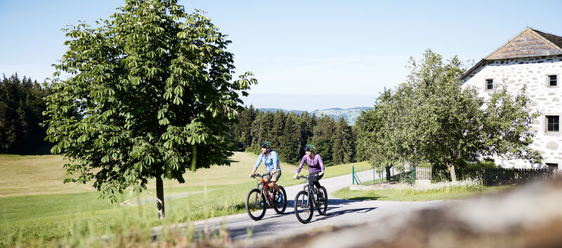 Zwei Radfahrer sind bei schönem Wetter auf dem Mühlviertelradweg in einer hügeligen grünen Landschaft unterwegs.