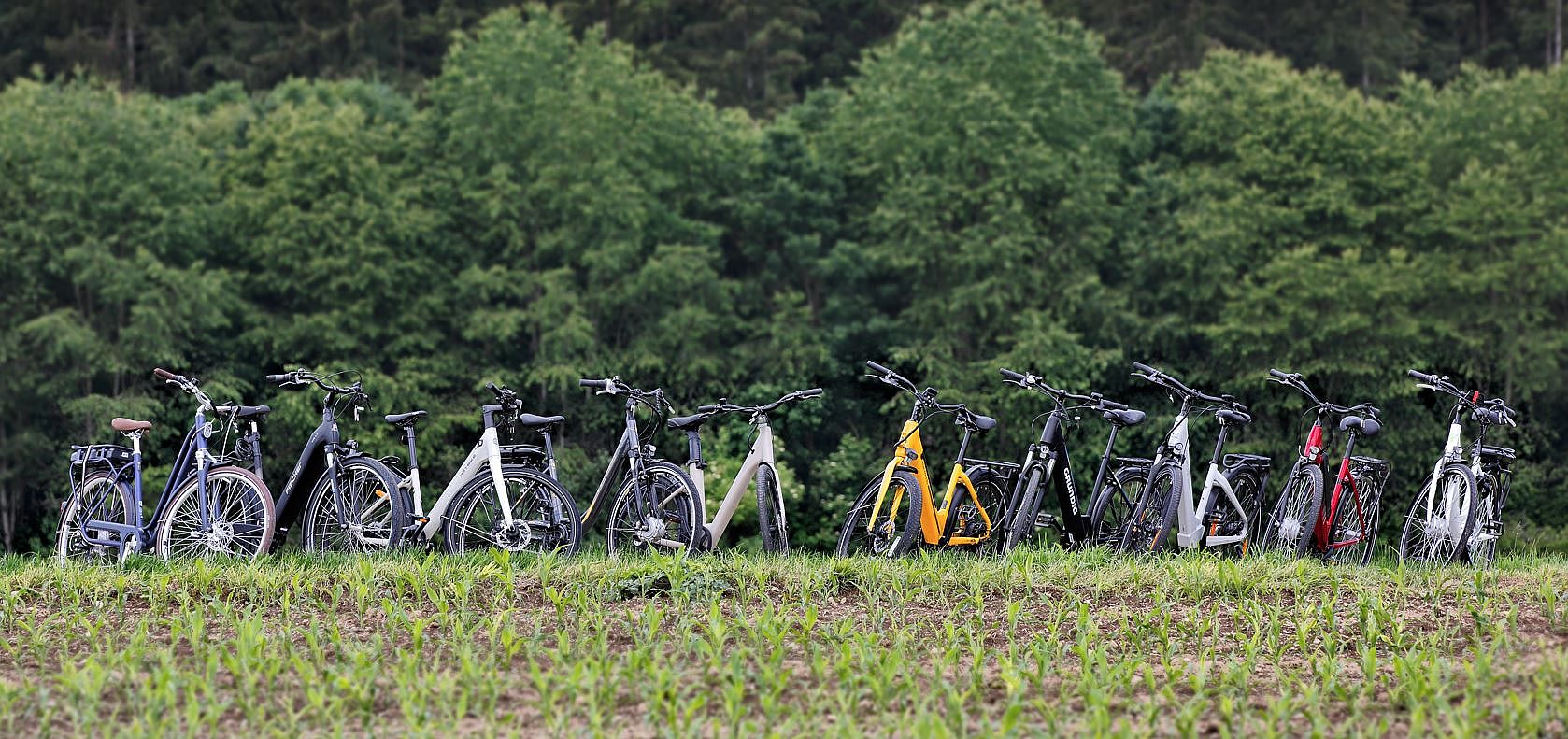 Eine Gruppe von Fahrrädern steht in einer Reihe auf einem Feld.