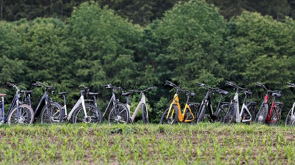 Eine Gruppe von Fahrrädern steht in einer Reihe auf einem Feld.