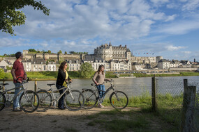 Amboise Amboise ATOUT FRANCE_DDarrault