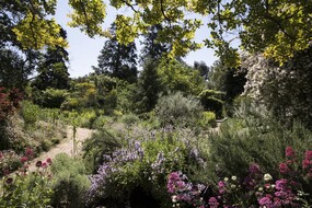 Provence Provence ATOUT FRANCE_A. Latzoura