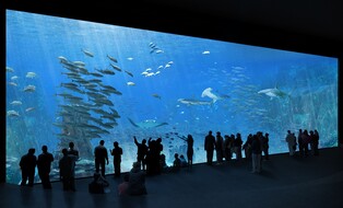 Aquarium Aquarium ATOUT FRANCE_Sophie et Jacques ROUGERIE