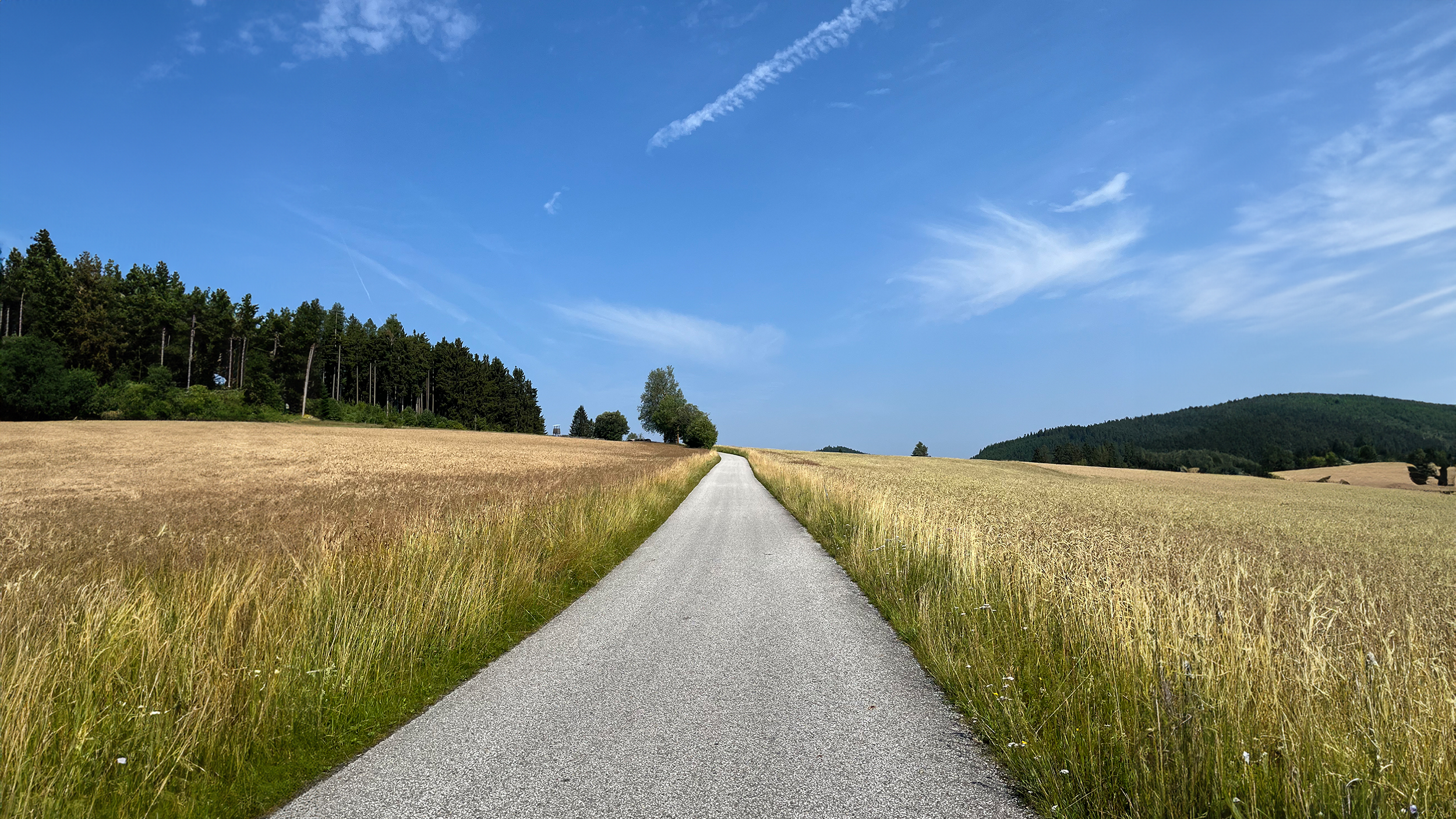 Ein Feldweg zwischen zwei Kornfeldern