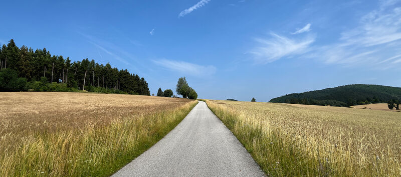 Ein Feldweg zwischen zwei Kornfeldern