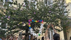 Die Corneliusgasse in Wien wurde zum Treffpunkt für Swifties