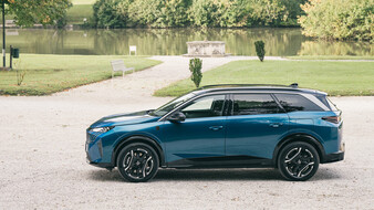 Ein blaues SUV steht in einem Park vor einem Teich