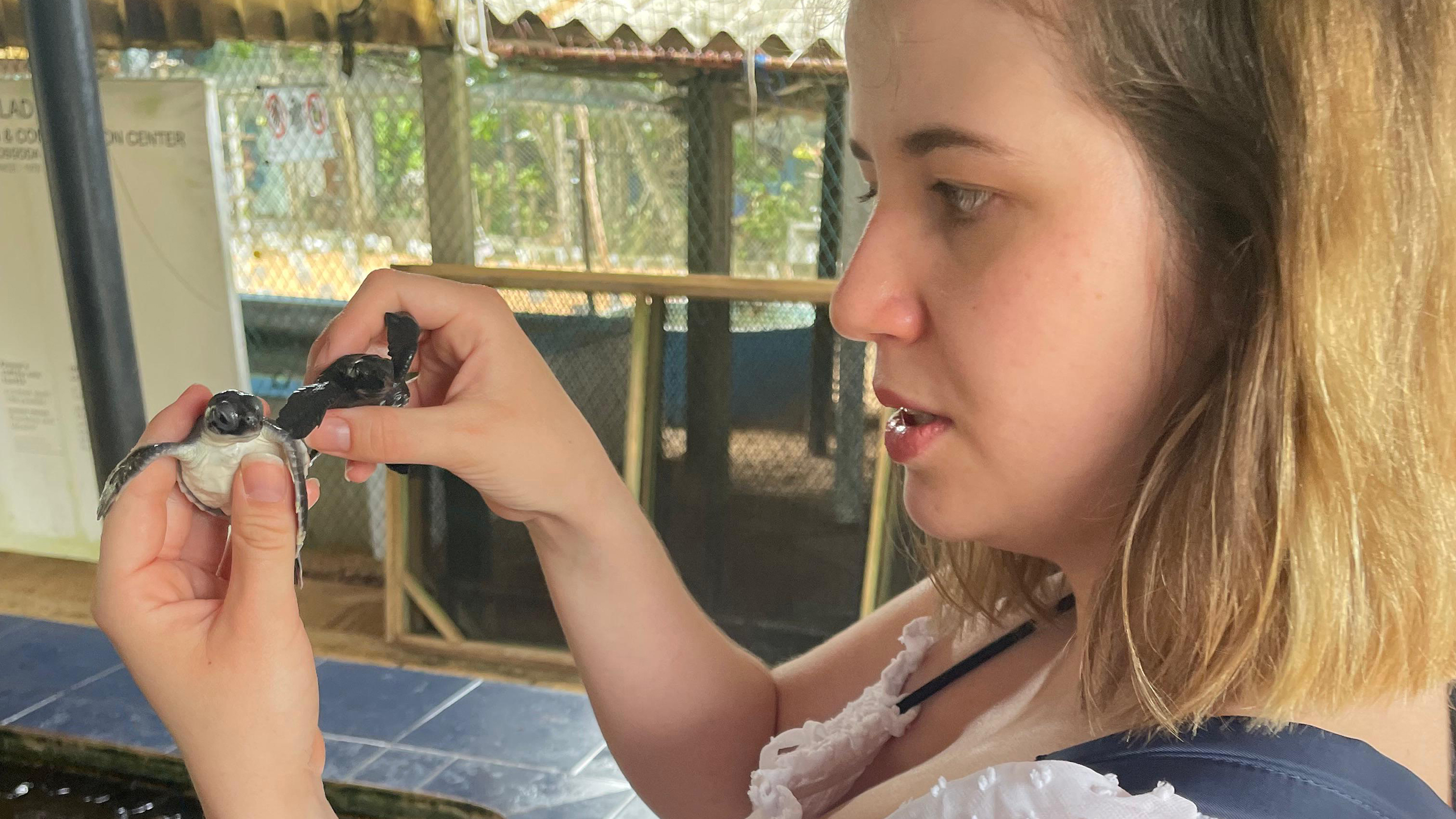 Redakteurin Verena Schauer hält zwei Baby-Schildkröten in den Händen.