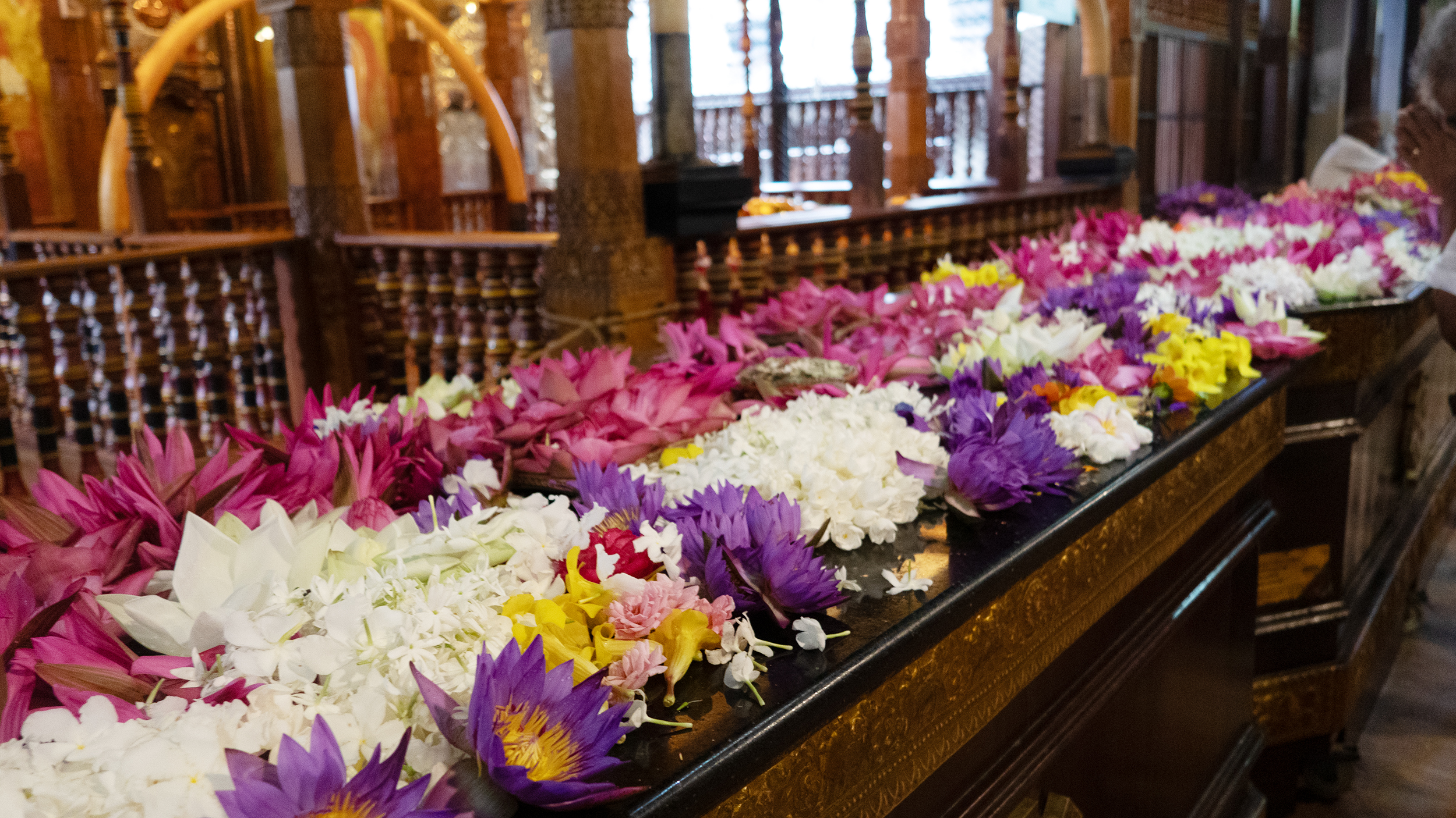Blumen in weiß, rot, lila und gelb im Zahntempel in Sri Lanka.