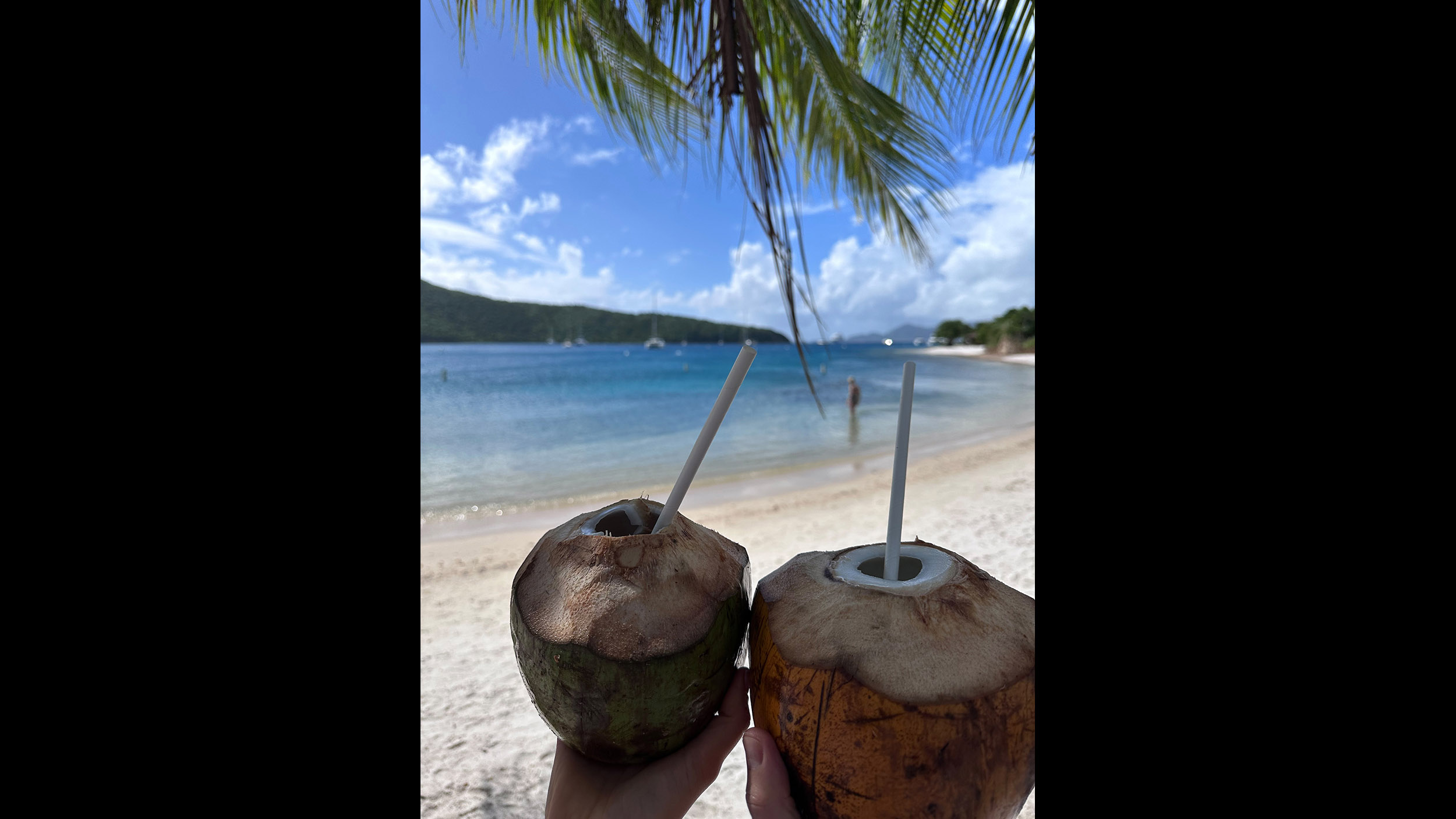 Im Vordergrund zwei Kokosnüsse in denen Strohhalme stecken und grüne Palmenwipfel, im Hintergrund ein paradiesischer Sandstrand mit klarem Wasser und blauem Himmel.