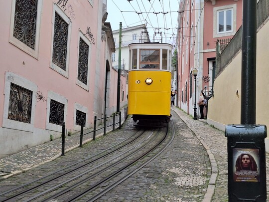 Auf dem Bild ist die Standseilbahn Elevador da Glória von hinten zu sehen, wie sie in einer recht engen Gasse hoch fährt. Die Häuser auf der linken und rechten Seite sind jeweils rosa.