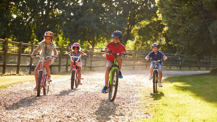Kinder mit dem Fahrrad unterwegs Auf dem Bild sieht man vier Kinder, die nebeneinander auf einem Fahrradfahren. Im Hintergrund sieht man Bäume und einen Holzzaun neben dem Weg.