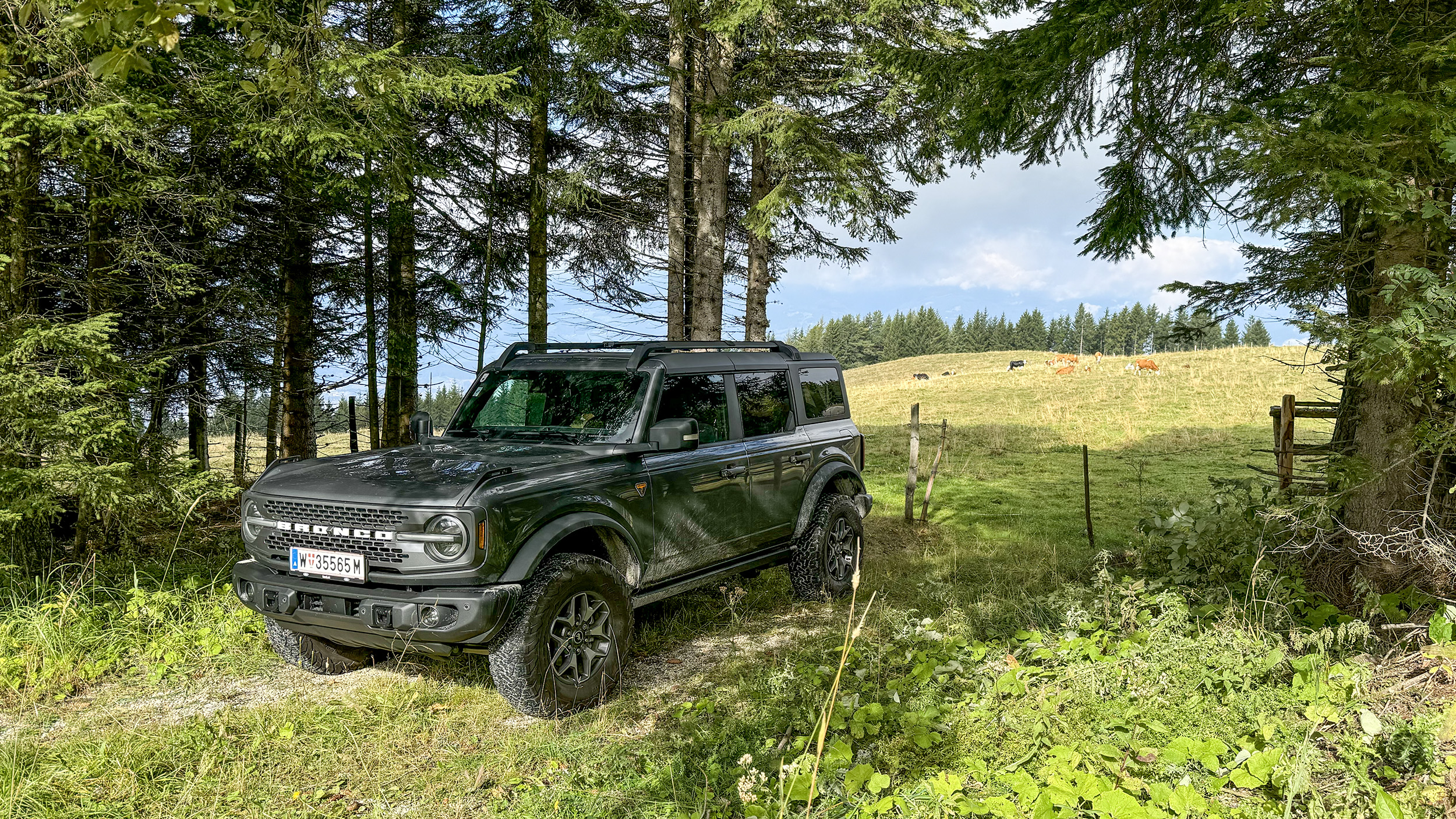 Ein grauer Geländewagen vor einer Almweide