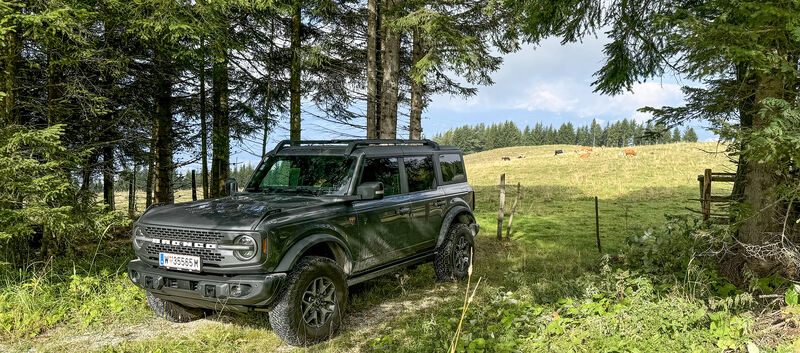 Ein grauer Geländewagen vor einer Almweide