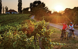 Weinland Steiermark Radtour