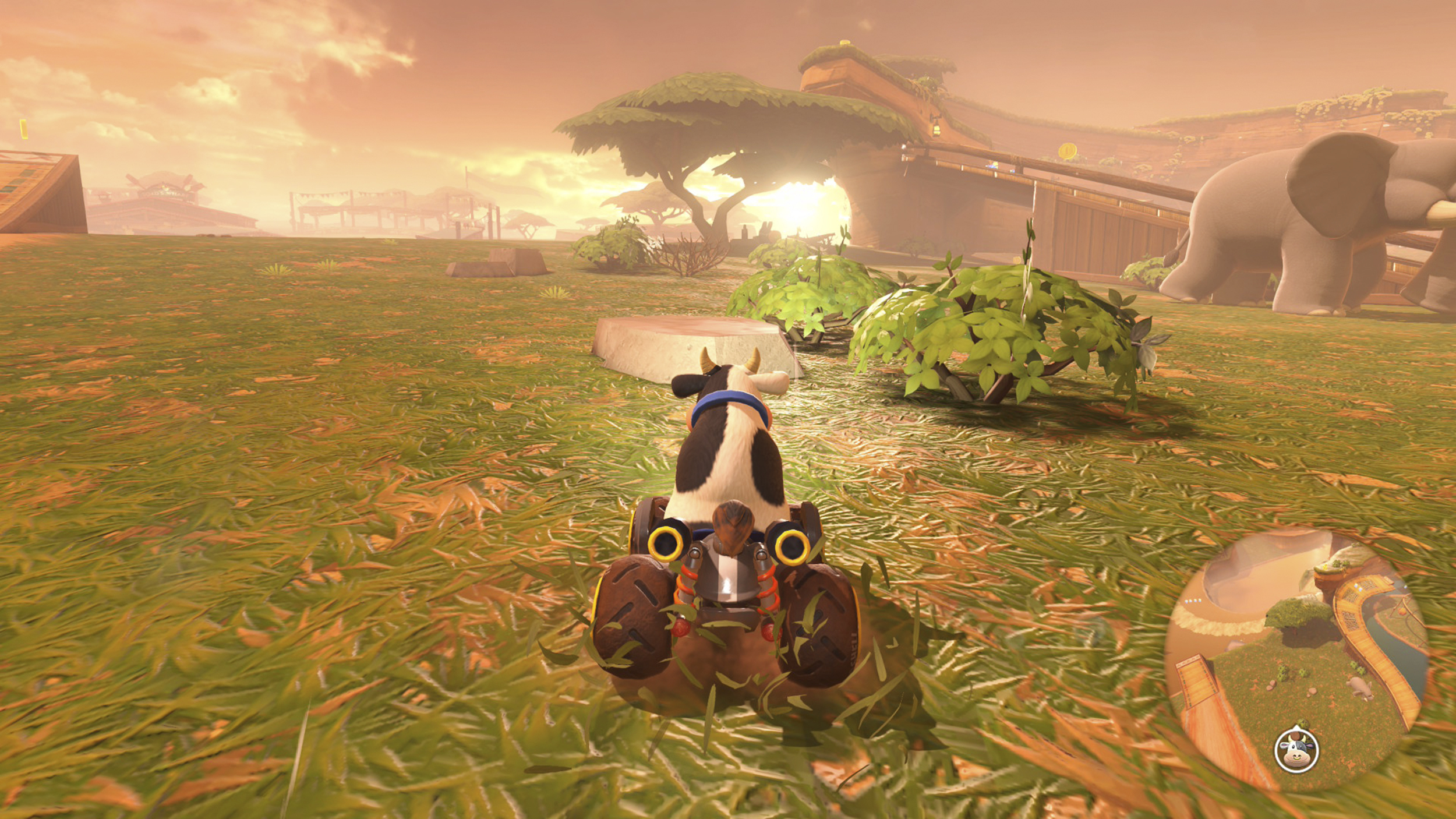 Screenshot aus Mario Kart World. Die Kuh raced über die Map Wildtierpark, die optisch wie eine Safari aussieht.