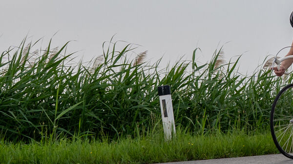Auf dem Bild sieht man einen Radfahrer vor einem grünen Feld auf einem alten Rennrad.