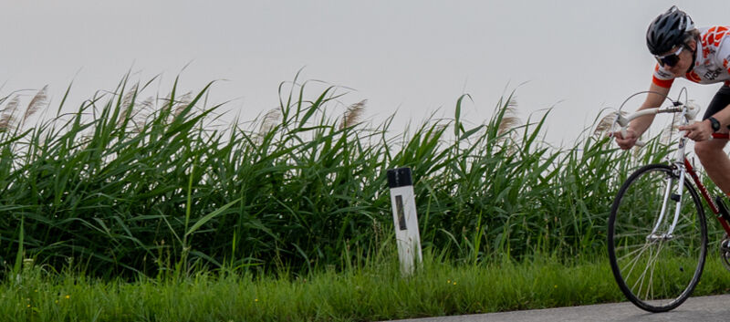 Auf dem Bild sieht man einen Radfahrer vor einem grünen Feld auf einem alten Rennrad.