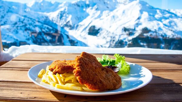 Das Foto zeigt einen Teller mit Schnitzel und Pommes. im Hintergrund ist ein Bergpanorama zu sehen.