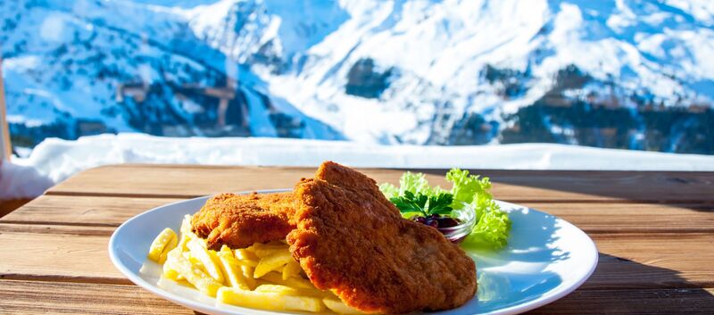 Das Foto zeigt einen Teller mit Schnitzel und Pommes. im Hintergrund ist ein Bergpanorama zu sehen.