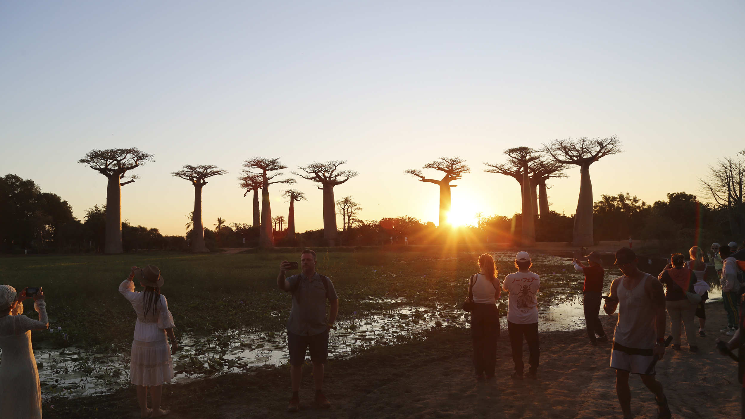 Sonnenuntergang in der Baobab-Allee.