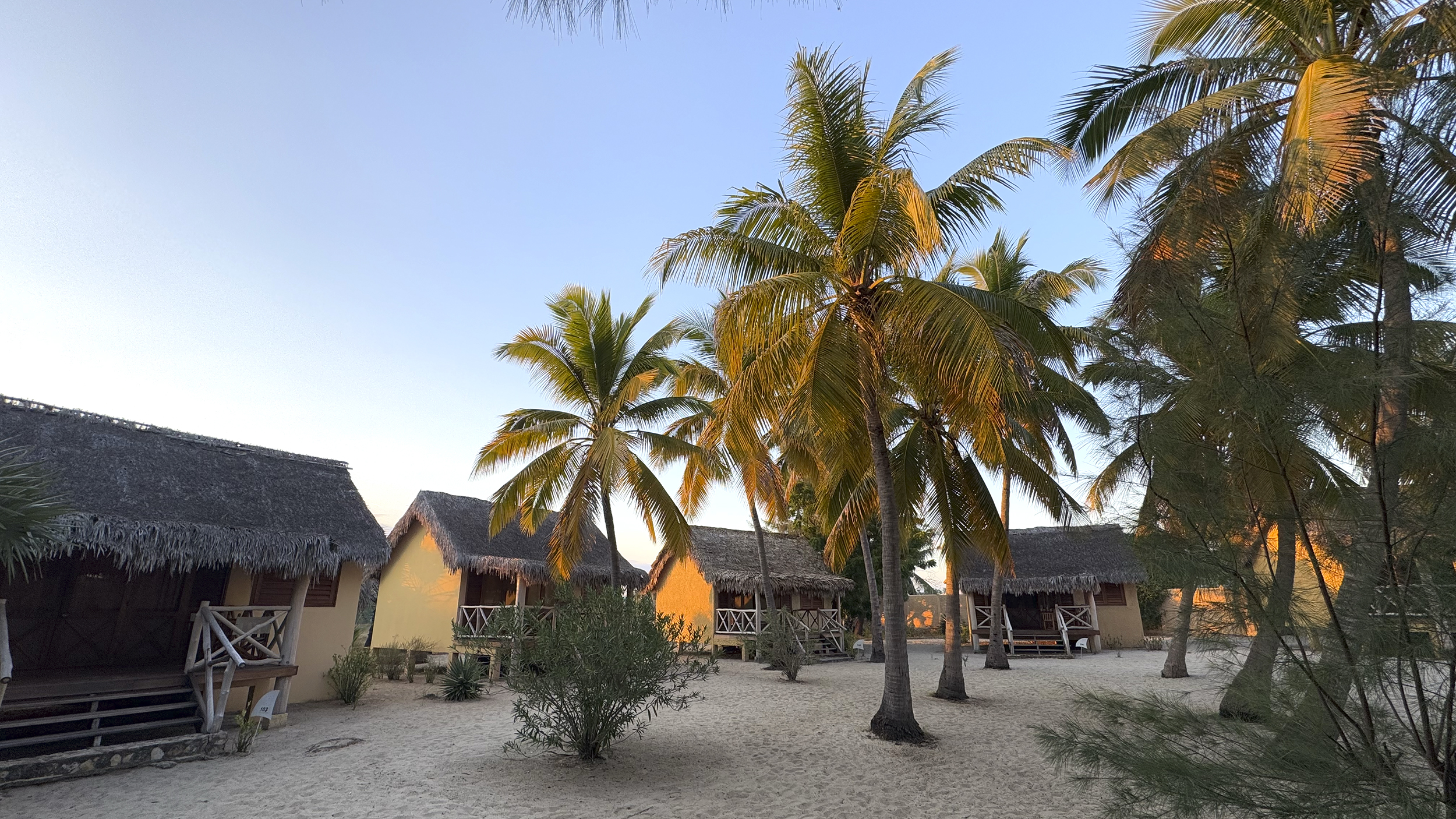 Hotel-Hütten mit Palmen.