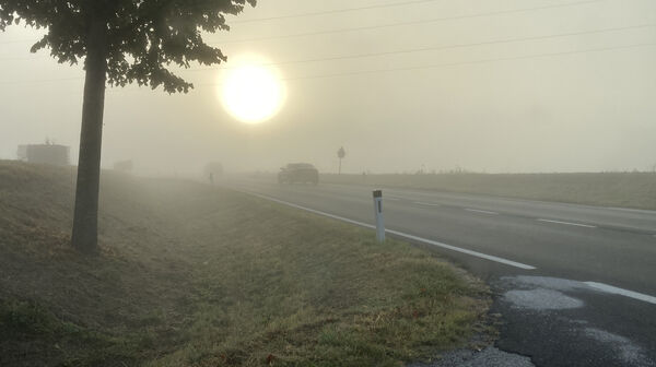Herbstliche Straße mit Sonne