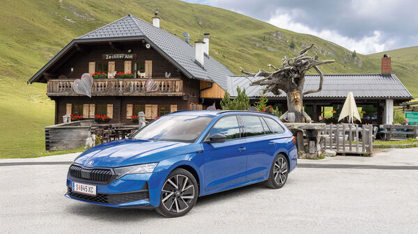Skoda Octavia blau stehend