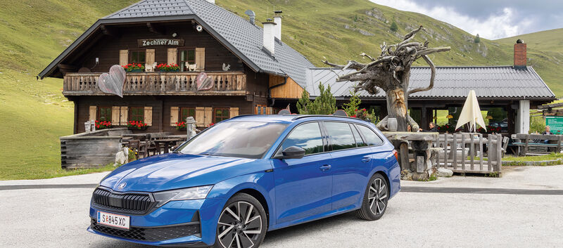 Skoda Octavia blau stehend