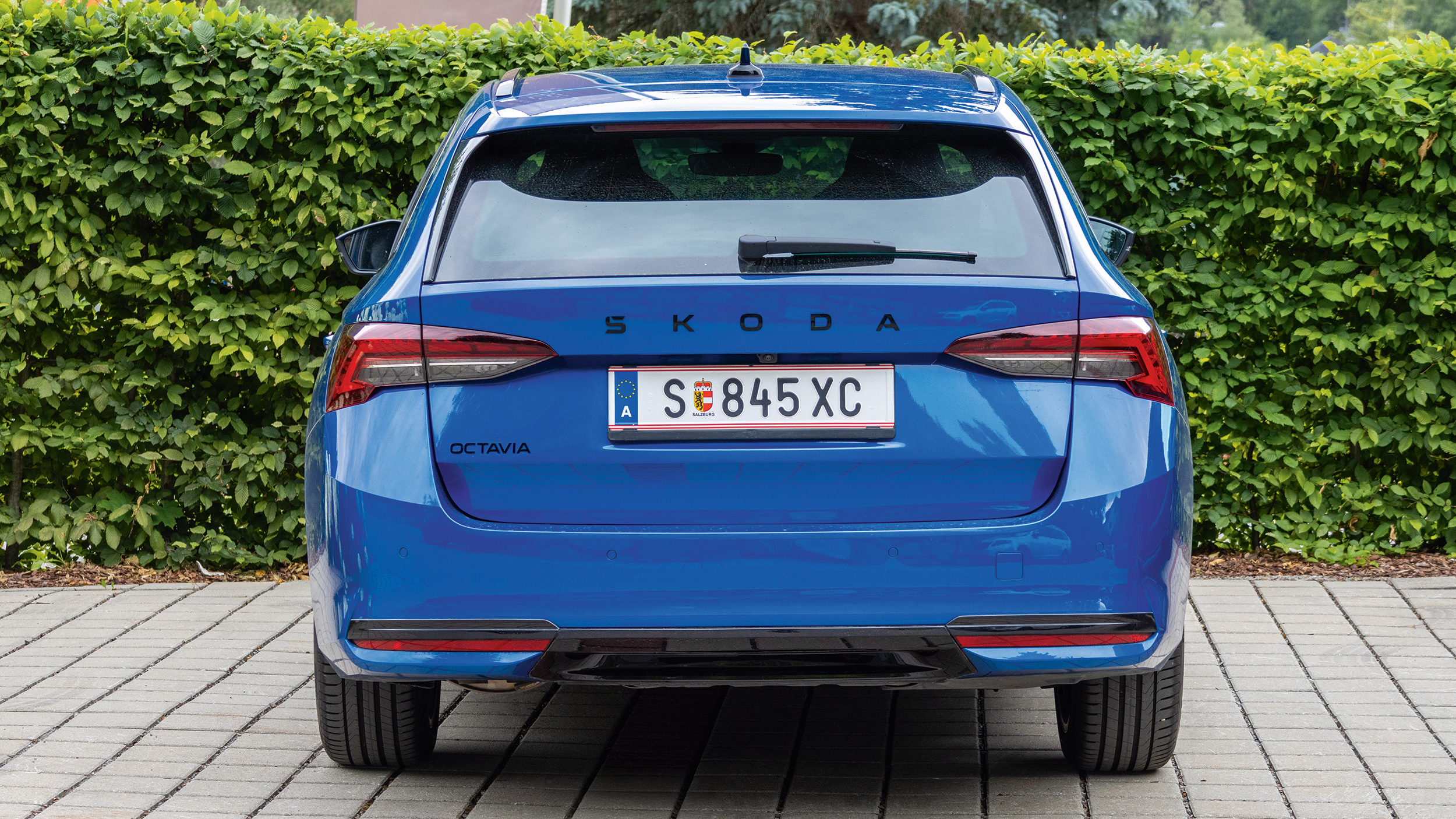 Skoda Octavia blau von hinten