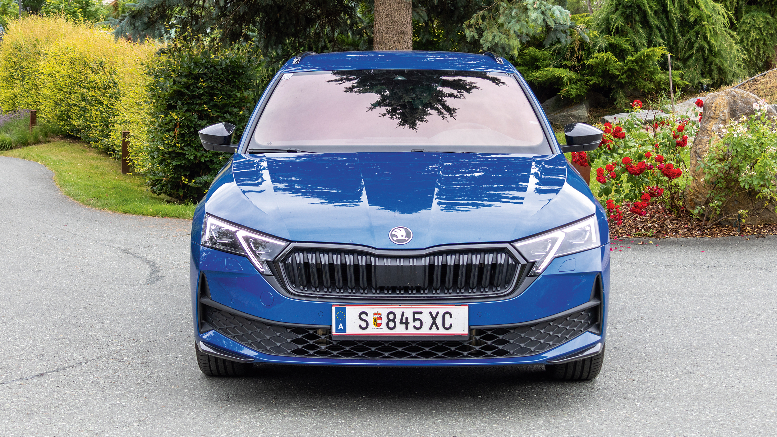 Skoda Octavia blau von vorne