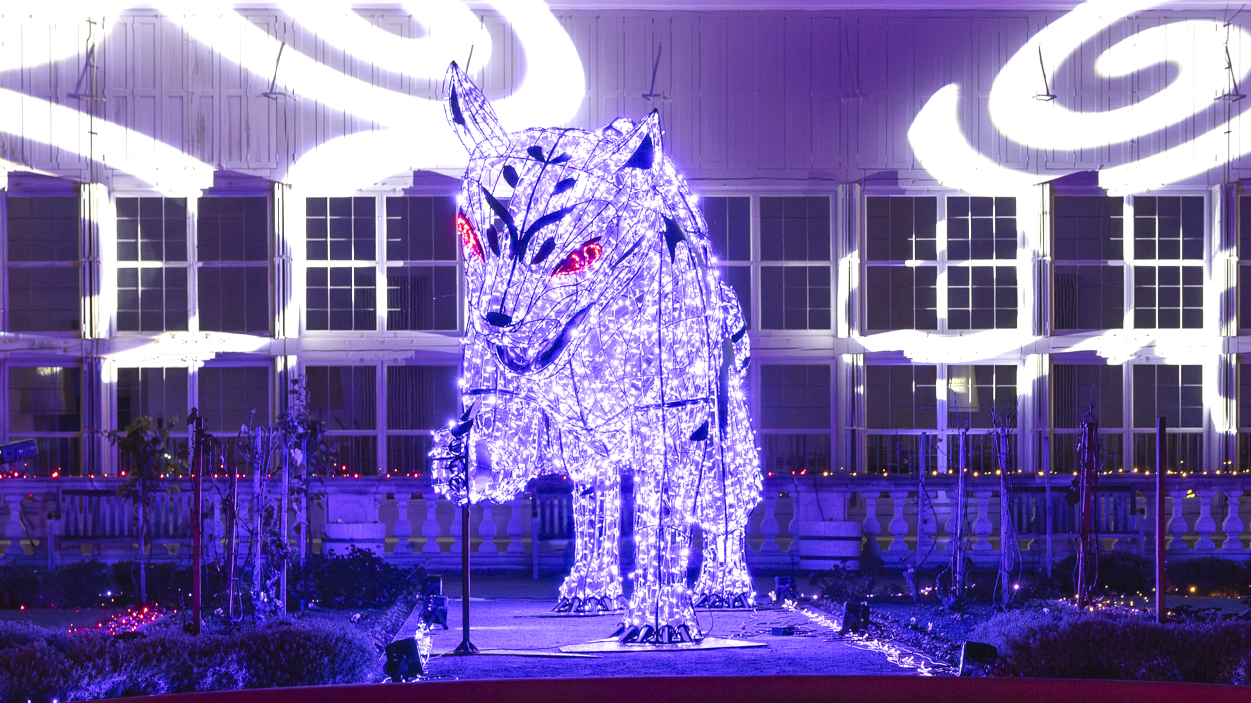 Gruselig lila leuchtender Panter auf Schloss Hof. Lichtinstallationen an Halloween.
