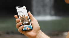 Eine Hand, die ein Handy hält um das digitale Wandererlebnis zu symbolisieren.
