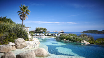 Eine Poolandschaft mit einer Palme, Liegen und im Hintergrund sieht man das Meer.