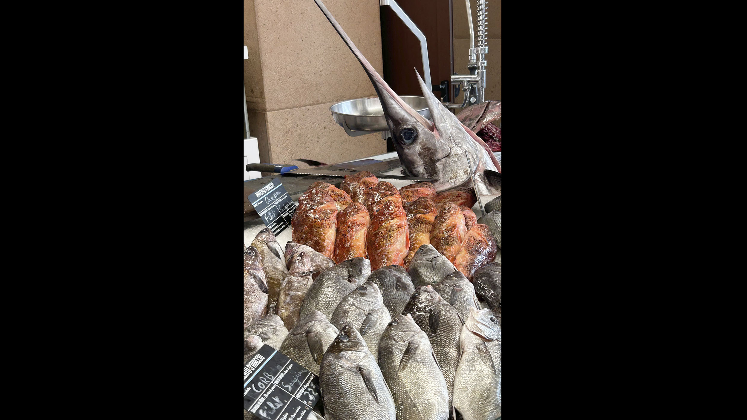 Fischmarkt mit unterschiedlichen toten Fischen.