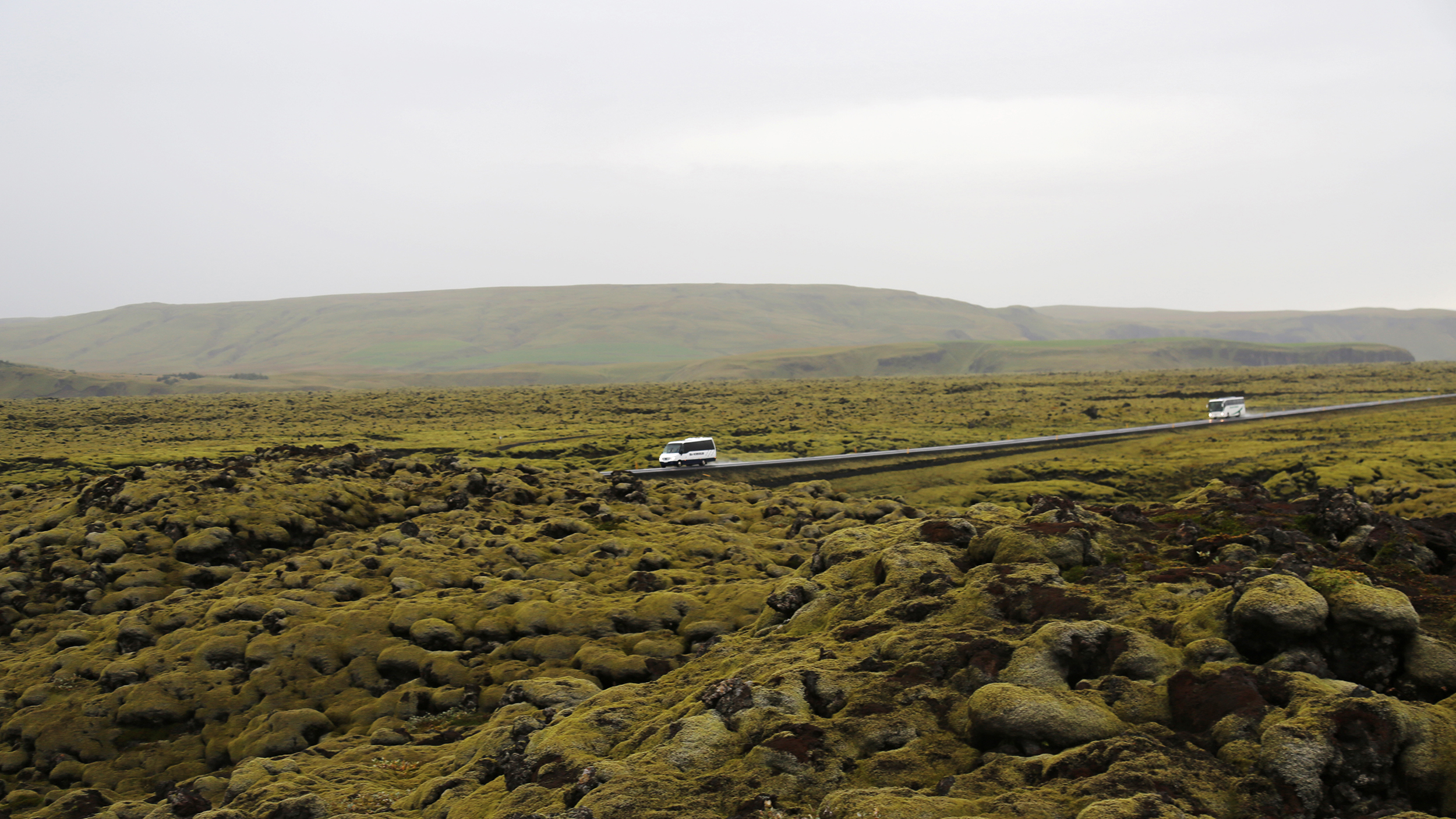 Die Straße geht durch getrocknete Lava, die mit Moos bedeckt ist. 