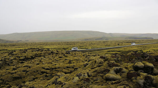 Die Straße geht durch getrocknete Lava, die mit Moos bedeckt ist.