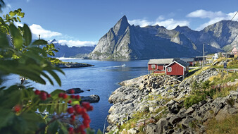 Blick auf Reine, Lofoten