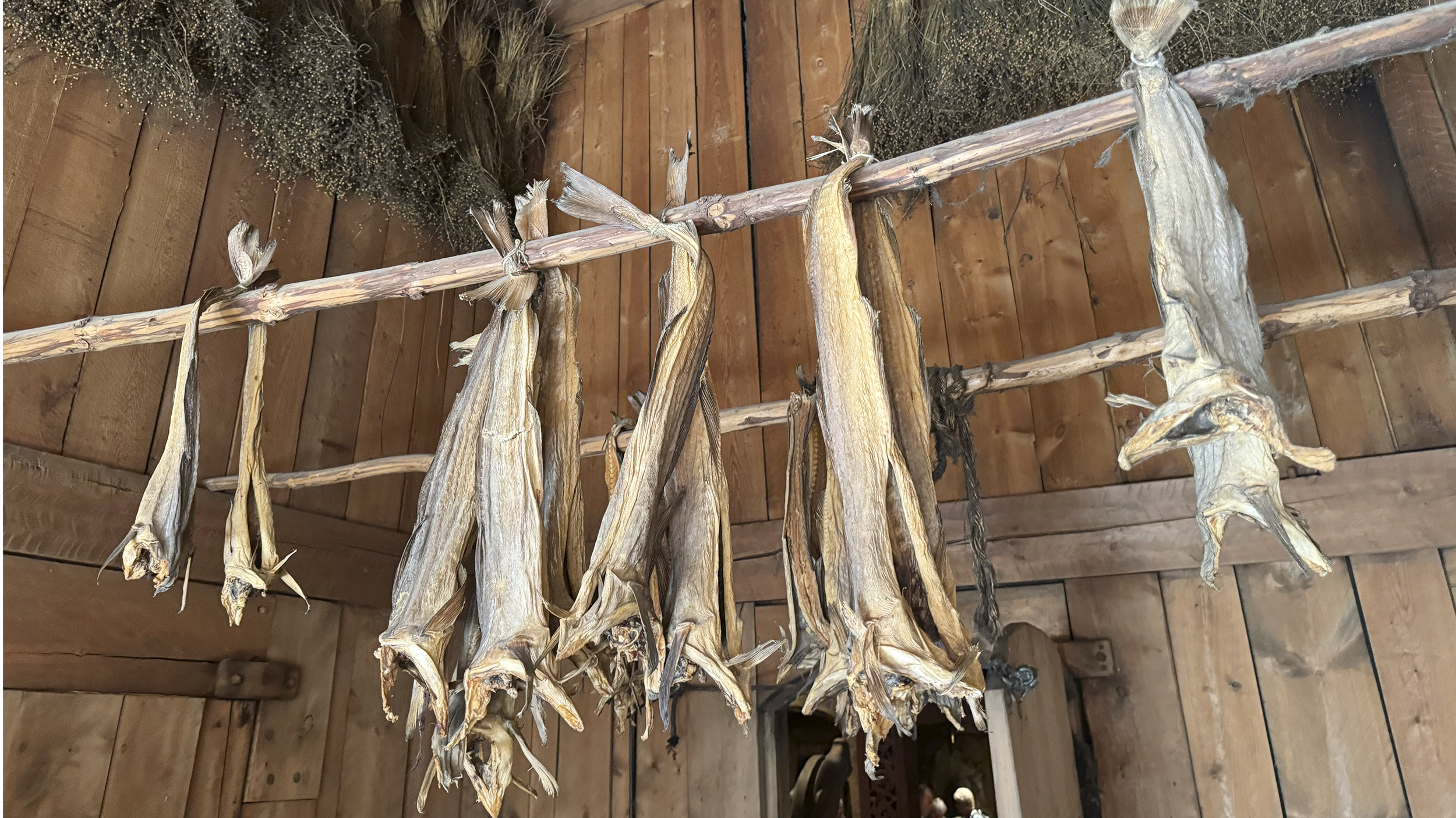 Der Stockfisch hängt zum Trocknen an einer Holzstange im Langhaus.