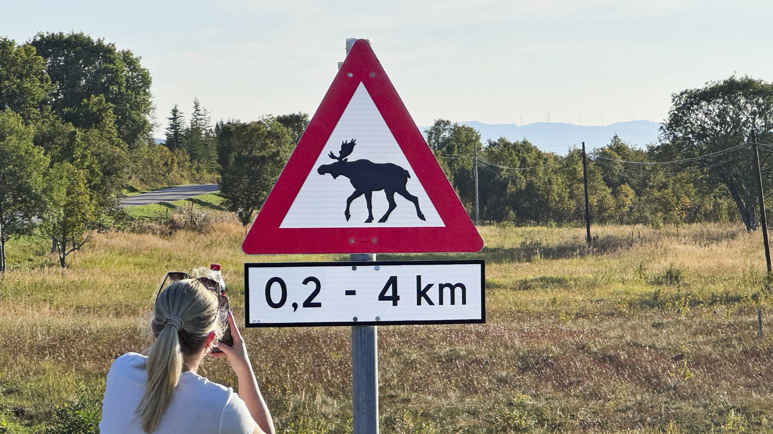 Verkehrszeichen: Vorsicht hier laufen Elche über die Straße. Eine Frau fotografiert das Schild.
